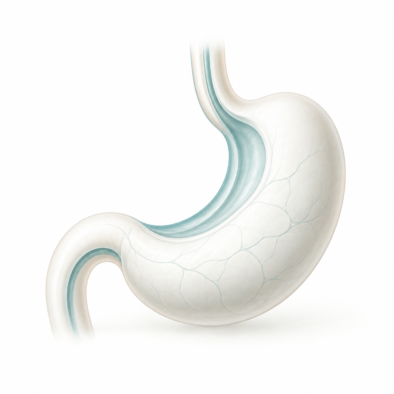 Gastric Cancer