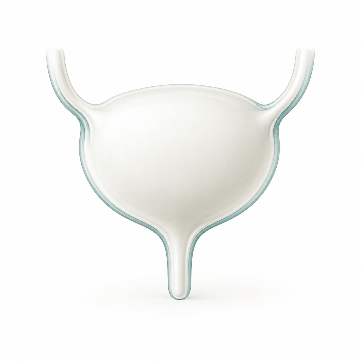 Bladder Cancer