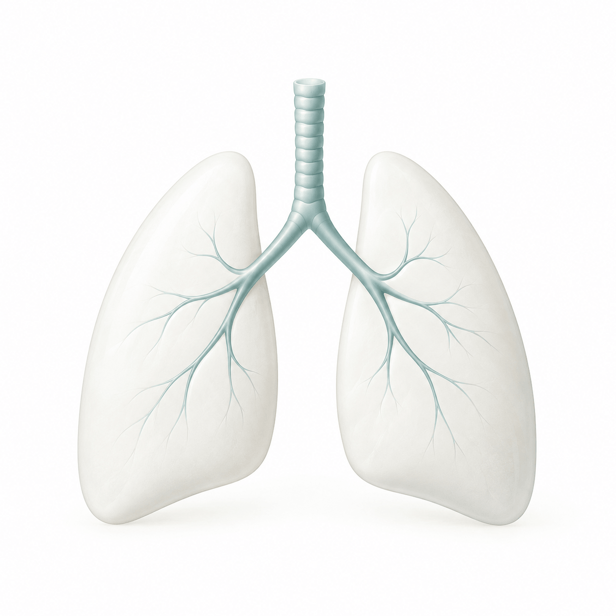 Lung Cancer