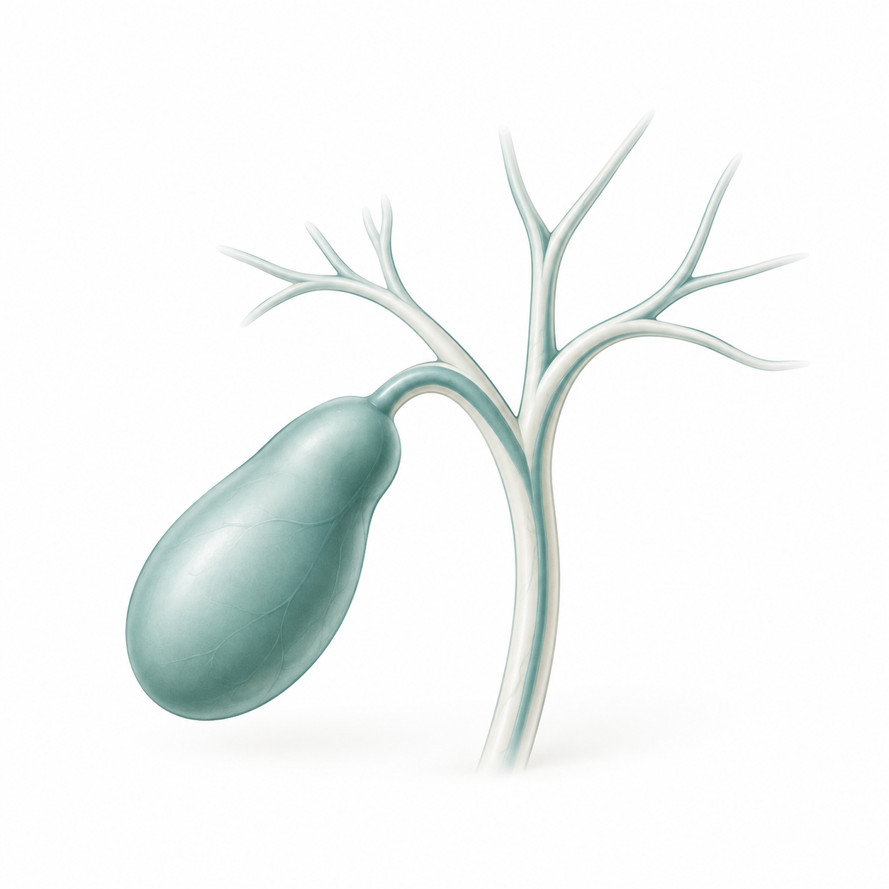 Biliary Tract Cancer
