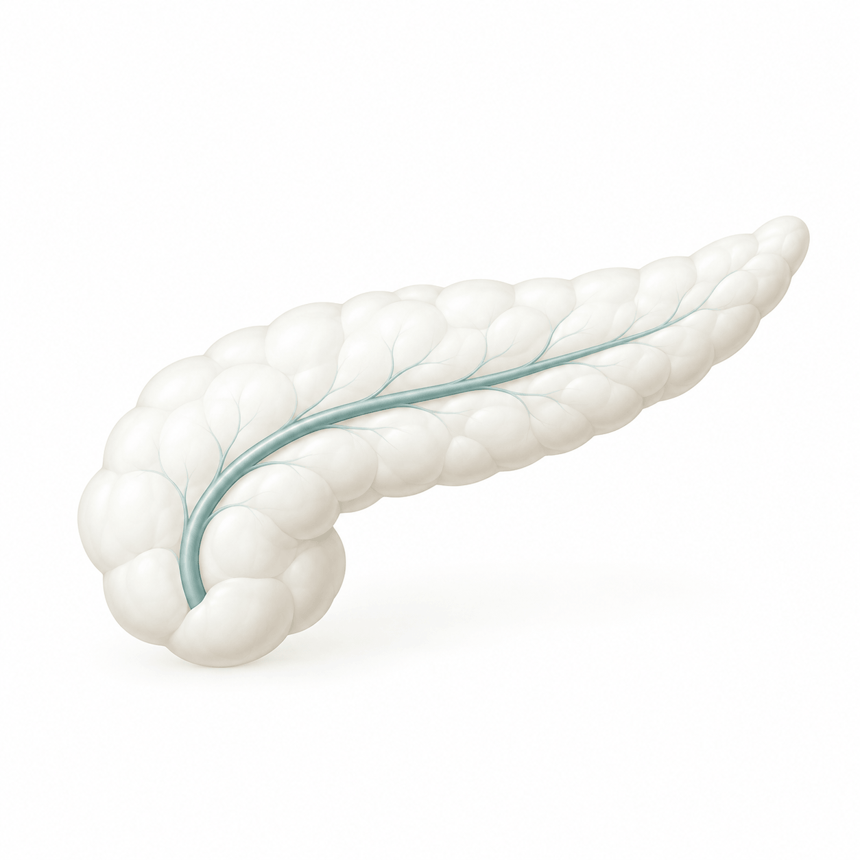 Pancreatic Cancer